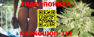 эйфоретик Бузулук
